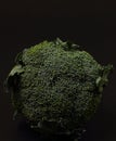 broccolli Royalty Free Stock Photo