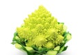 Broccolo romanesco Royalty Free Stock Photo