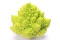 Broccolo romanesco Royalty Free Stock Photo