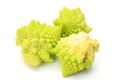 Broccolo romanesco Royalty Free Stock Photo