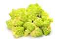 Broccolo romanesco Royalty Free Stock Photo