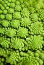 Broccolo romanesco (Brassica oleracea) Royalty Free Stock Photo