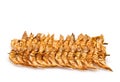 Brochette of dried shrimp Royalty Free Stock Photo
