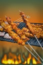 Brochettes on Barbecue Royalty Free Stock Photo