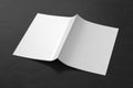 Brochure or booklet cover mock up on black background. Brochure is open and upside down. Isolated with clipping path around brochu