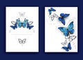 Brochure design with butterflies morpho Royalty Free Stock Photo