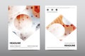 Brochure layout template flyer design vector, Magazine booklet cover abstract background Royalty Free Stock Photo