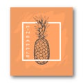 Brochure, poster, advertising flyer. Pineapple drawn by hand, in a white frame on an orange background. Calligraphy.