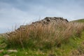 Brocken dry stone wall on moorland Royalty Free Stock Photo