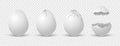 Brocken eggs. Crack eggshell. Vector realistic break white shell on transparent background.