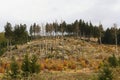 Brocken - Heinrich-Heine path - I - Royalty Free Stock Photo