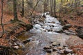 Brocken - Heinrich-Heine path - VI - Royalty Free Stock Photo