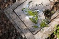 Many pieces of Brocken mirror on grey concrete slab. Green trees reflection. Outdoors garbage. pollution problem. many