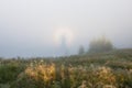 Brocken spectre