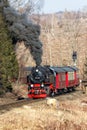 Brockenbahn steam train locomotive railway portrait format departing Drei Annen Hohne in Germany Royalty Free Stock Photo