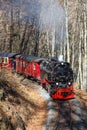 Brockenbahn Steam train locomotive railway portrait format departing Wernigerode in Germany