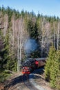 Brockenbahn Steam train locomotive railway portrait format near Drei Annen Hohne in Germany Royalty Free Stock Photo