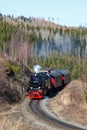 Brockenbahn Steam train locomotive railway portrait format near Drei Annen Hohne in Germany Royalty Free Stock Photo