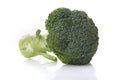 Brocoli on white background Royalty Free Stock Photo