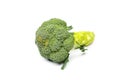 Brocoli on a white background Royalty Free Stock Photo