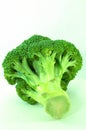 Brocolli bunch, isolated