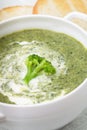 Brocolli cream soup Royalty Free Stock Photo