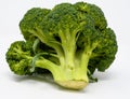 A brocolli Floret Royalty Free Stock Photo