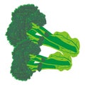 Brocolli illustration