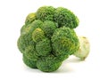 Brocolli Royalty Free Stock Photo