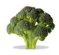 Brocolli tree on white with clipping path