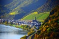 Hatzenport, Germany - 10 21 2020: Autumn vineyards above Hatzenport