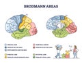 Brodmann areas map as brain region zones of cerebral cortex outline diagram Royalty Free Stock Photo