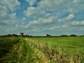 Windmill Fenlands and clouds