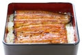 Broiled eel on rice,unaju, japanese unagi cuisine Royalty Free Stock Photo