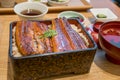 Broiled eel on rice,unaju, japanese unagi cuisine Royalty Free Stock Photo