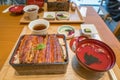 Broiled eel on rice,unaju, japanese unagi cuisine