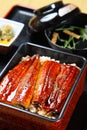 Broiled eels on rice Royalty Free Stock Photo