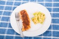 Broiled Salmon with Rice Casserole Royalty Free Stock Photo
