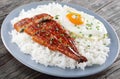 Broiled unagi with rice and egg