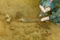 A broken ancient bronze knife is an archaeological find. Royalty Free Stock Photo