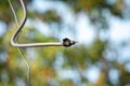 Broken antenna cable with blur bokeh background