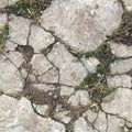 Broken asphalt with cracks overgrown with green grass. Natural abstraction. Royalty Free Stock Photo