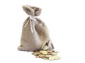 Broken bag of money Royalty Free Stock Photo