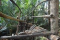 Broken bamboo bridge. The bridge made by bamboo.