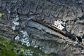 Broken bark with moss on it