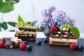 Broken bars of black, white and milk chocolate with blueberry and raspberry nuts