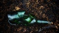 Broken beer bottle on burned tree Royalty Free Stock Photo