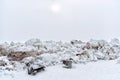 Broken benches by ice floes on The Gulf of Finland. St Petersburg. Russia