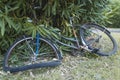 Broken bike in a park