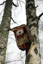 Broken birdhouse